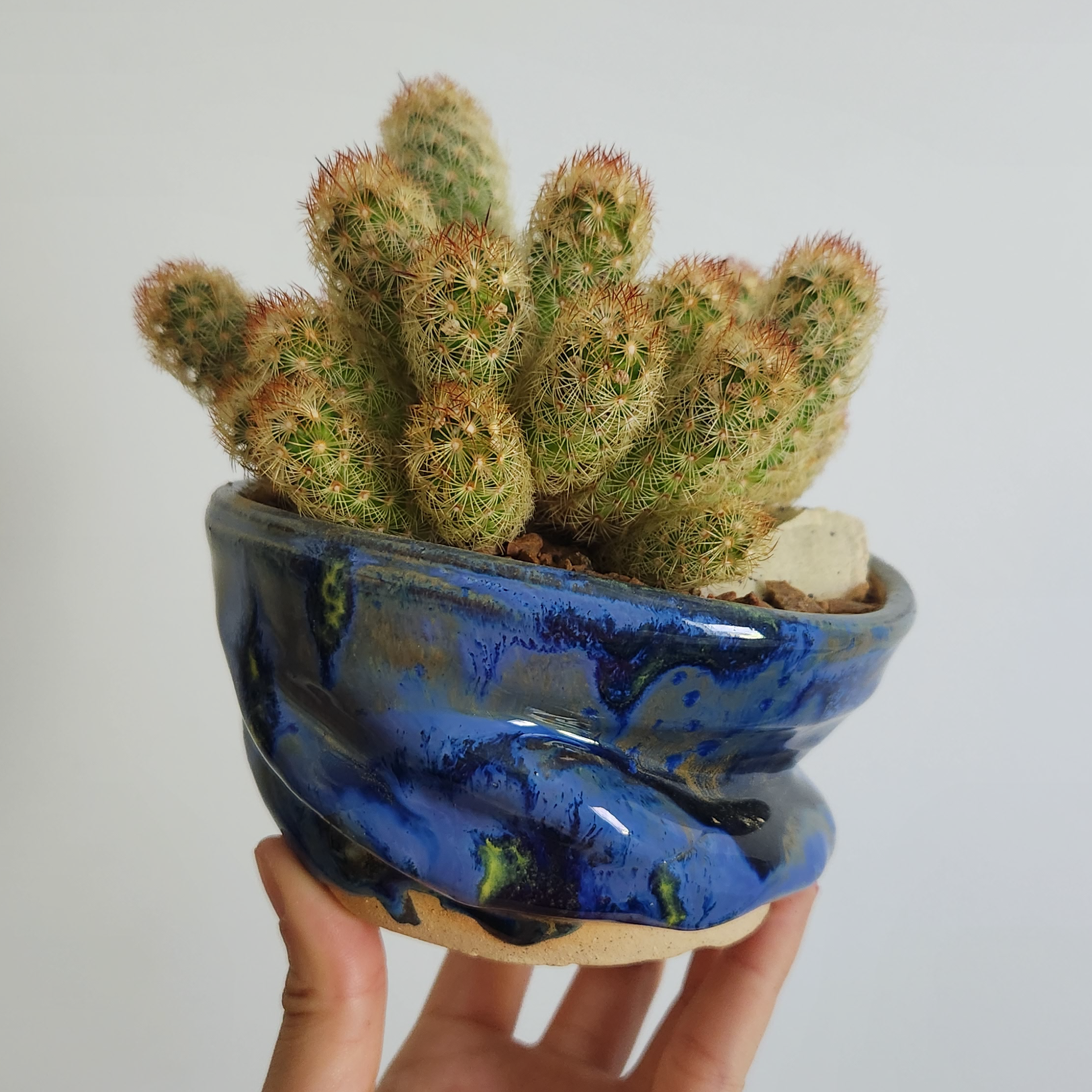 Image courtesy of Christin Apodaca.